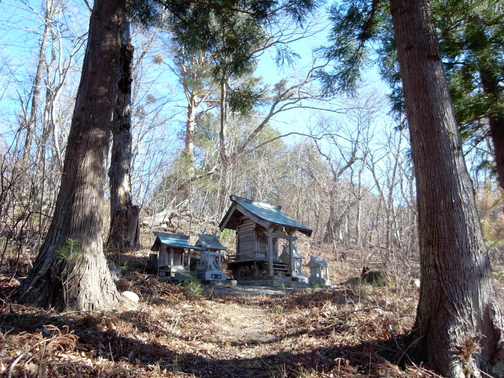 【画像】荒巻集落・神社