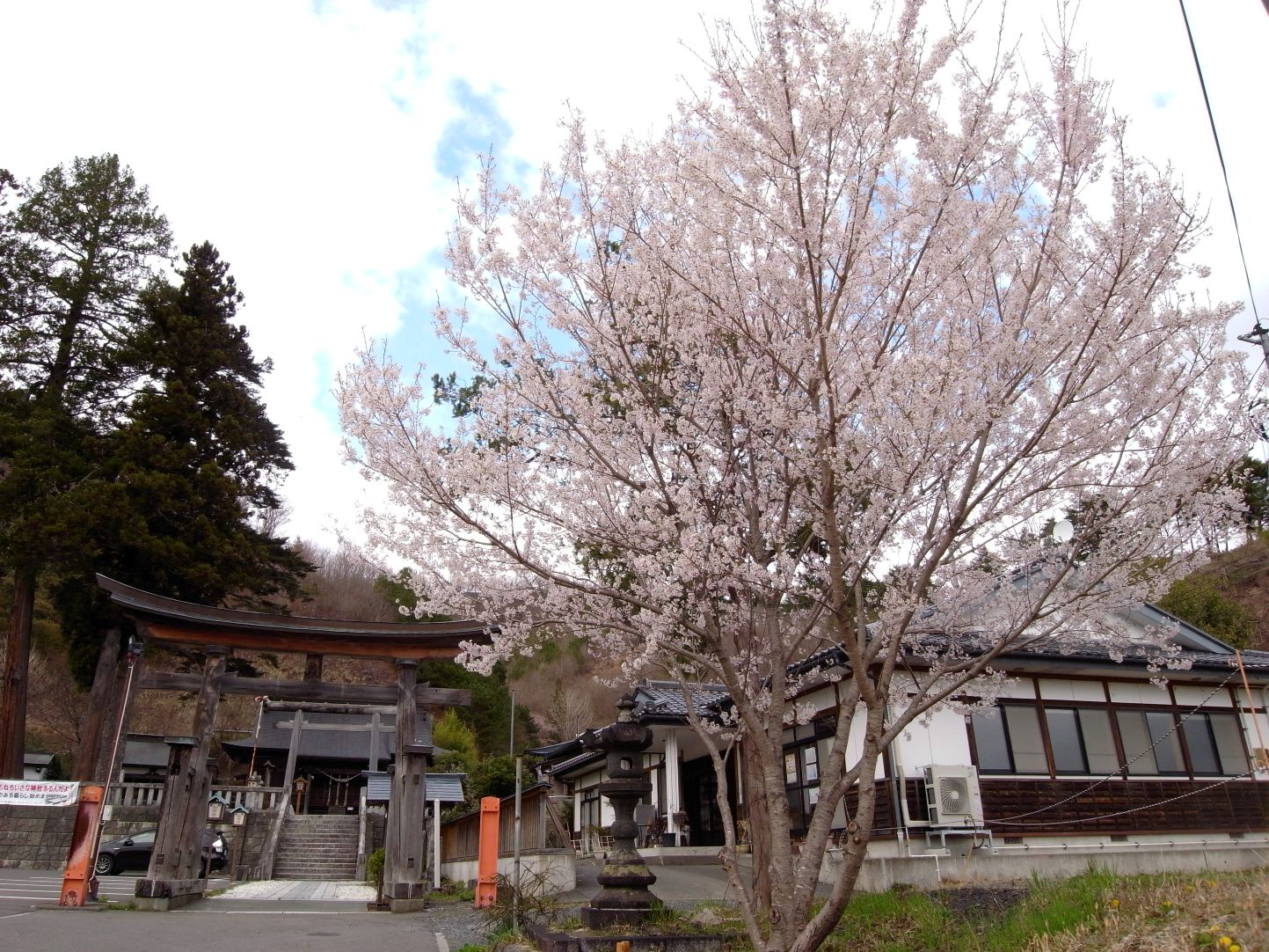 【画像】里は花も盛り・小鎚神社